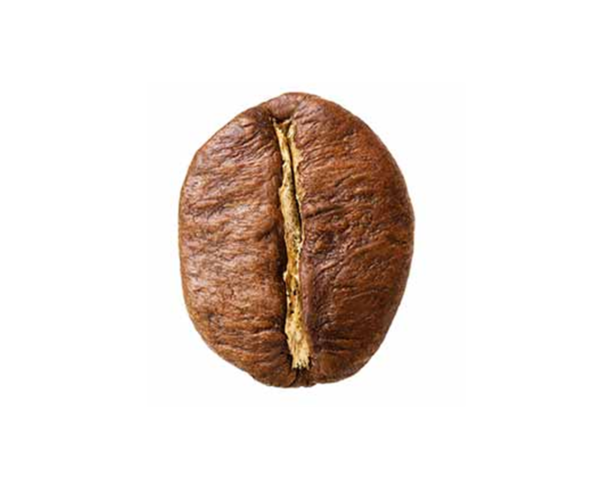 ROBUSTA ROBUSTA